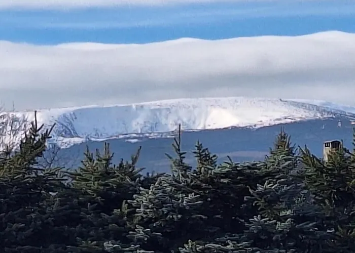 Sunny Hill , Kowary