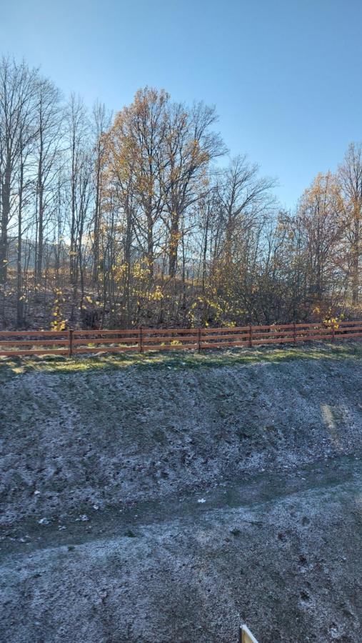 Appartamento Sunny Hill ,