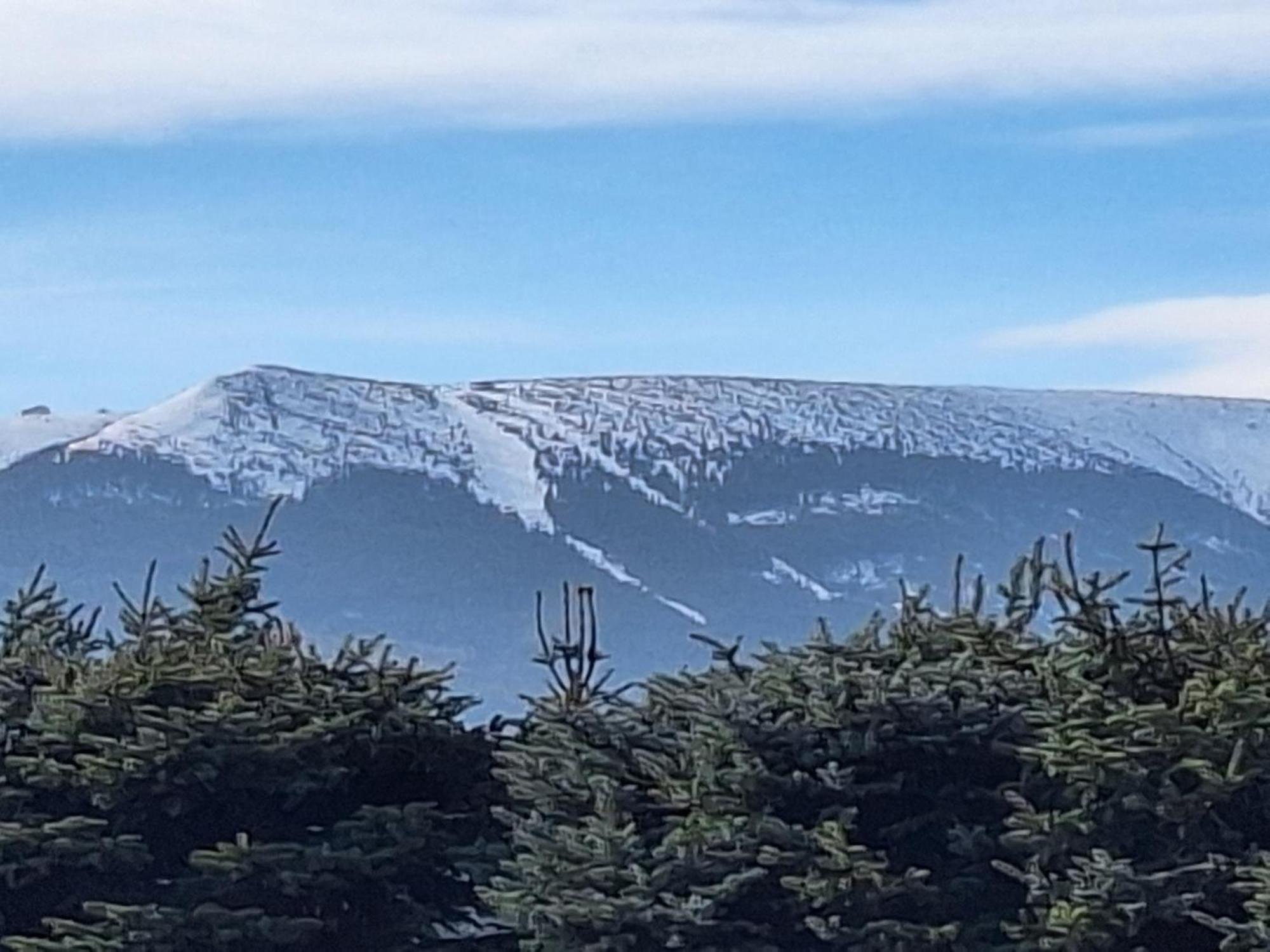 Sunny Hill ,